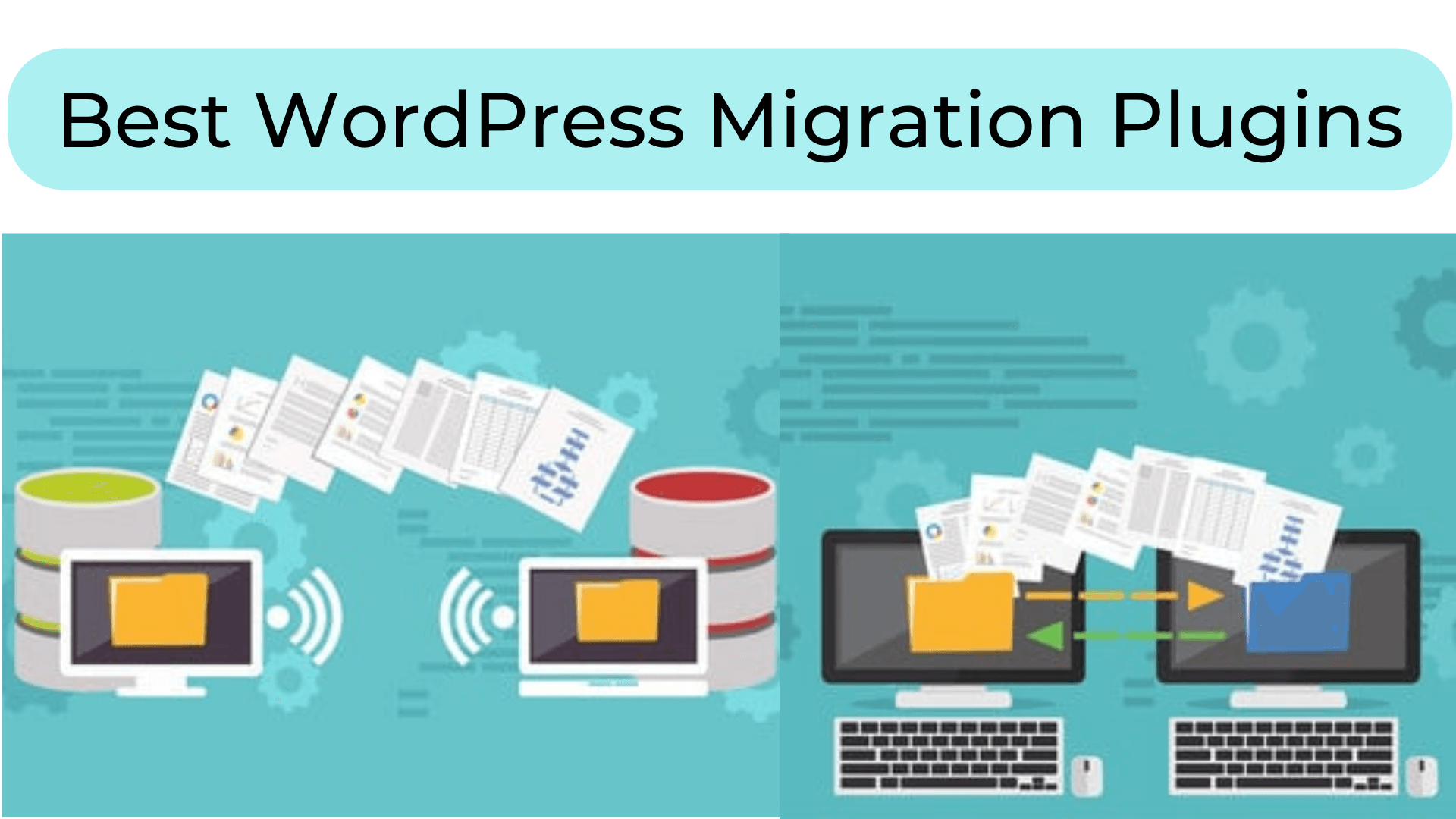Best WordPress Migration Plugins