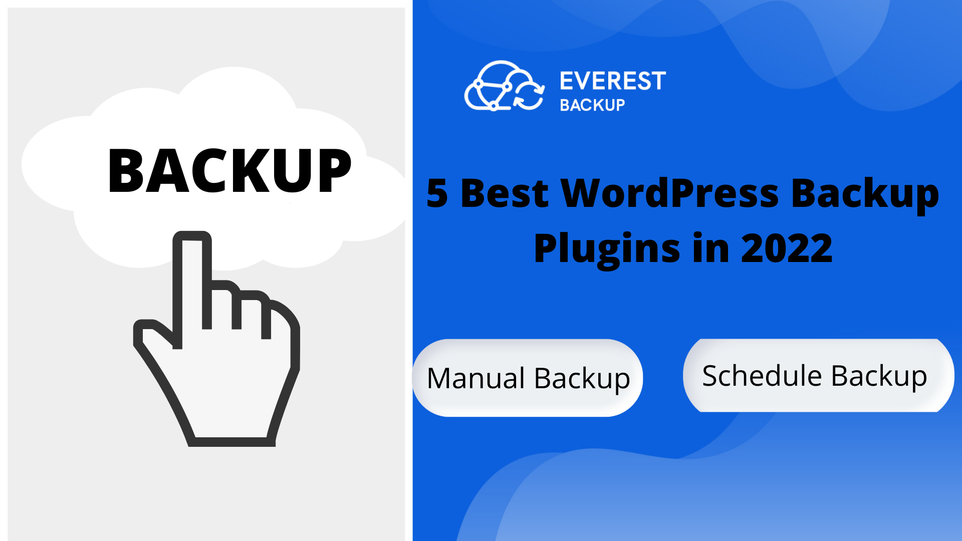 best wordpress backup plugin