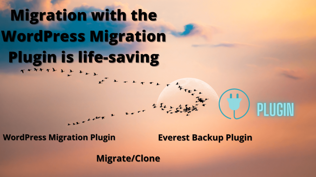 Migration with the WordPress Migration Plugin is life-saving