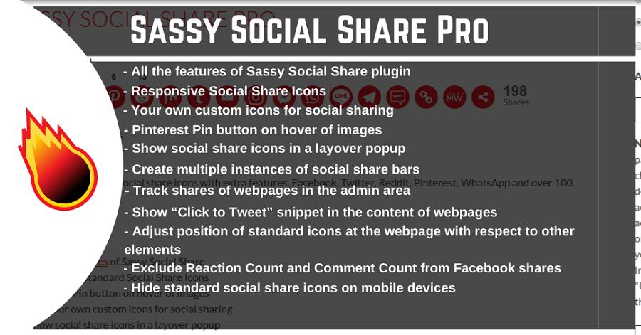 Sassy Social Share 