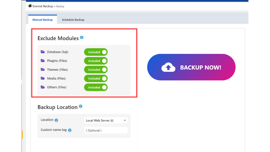 Manual Backup Section Image