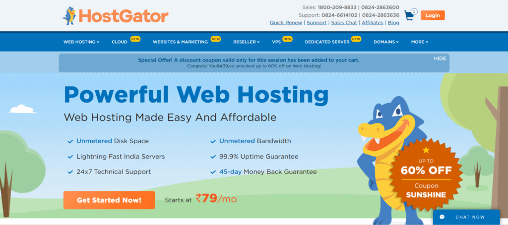 HostGator Website Image.