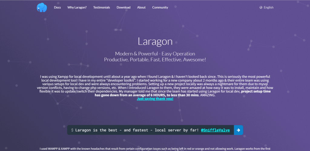Laragon Website Image