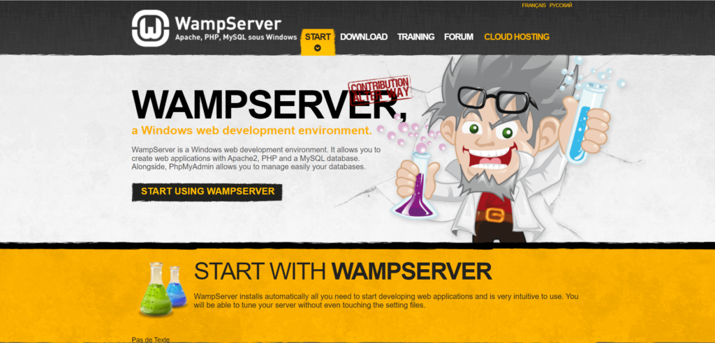 WampServer Website Image